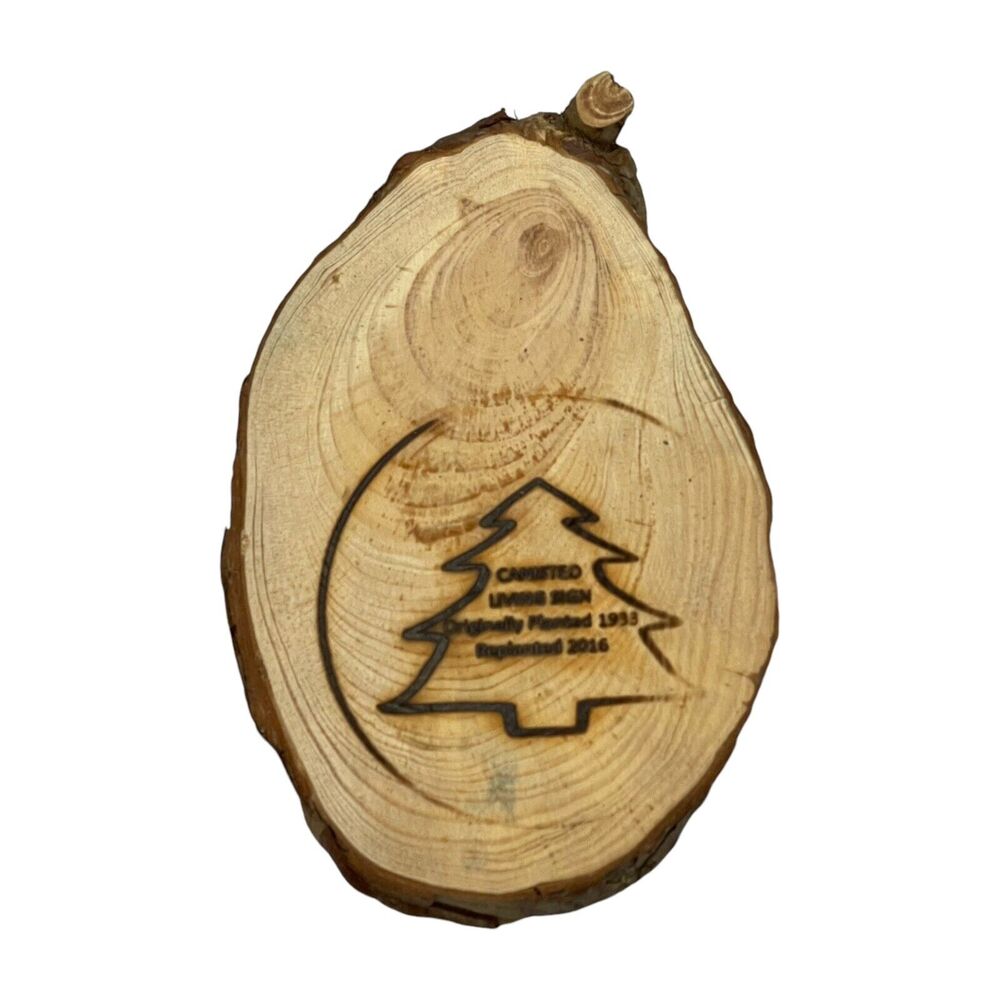 Canisteo Living Sign 5x6 Tree Ring Cutting Planted 1933 Replanted 2016 - Picture 1 of 6